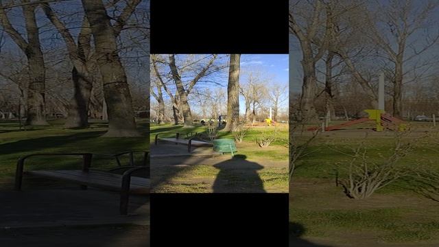Краснодар#Декабрь#Погода#Парк