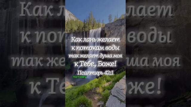 Как лань желает к потокам воды.