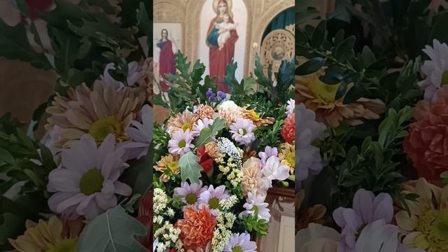 Многая лета (Л. Лосева)