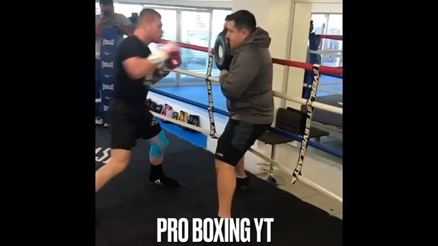 Canelo Alvarez Mitt Work