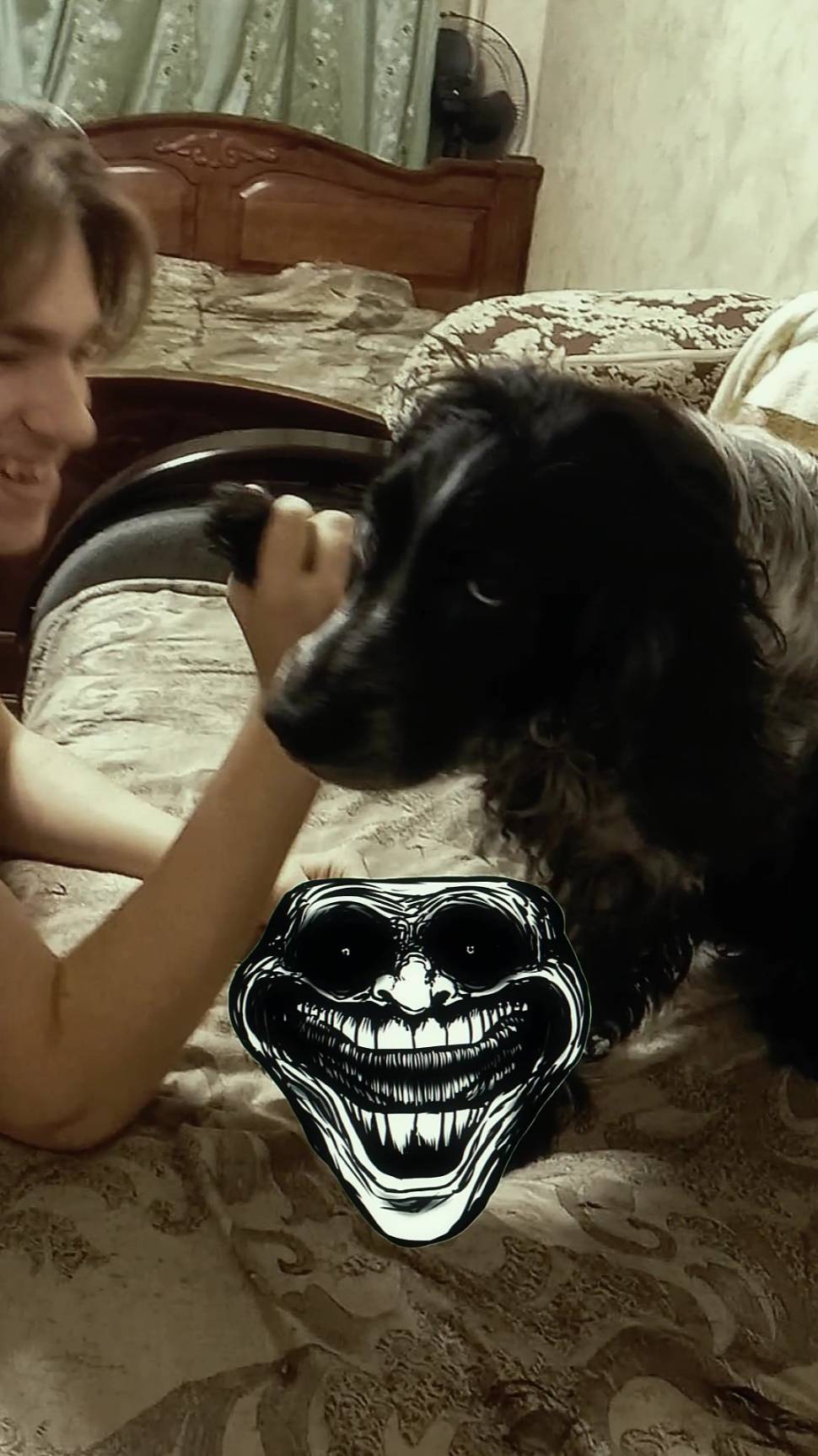 Sigma Dog