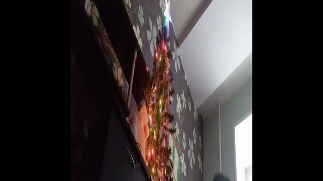ёлочка