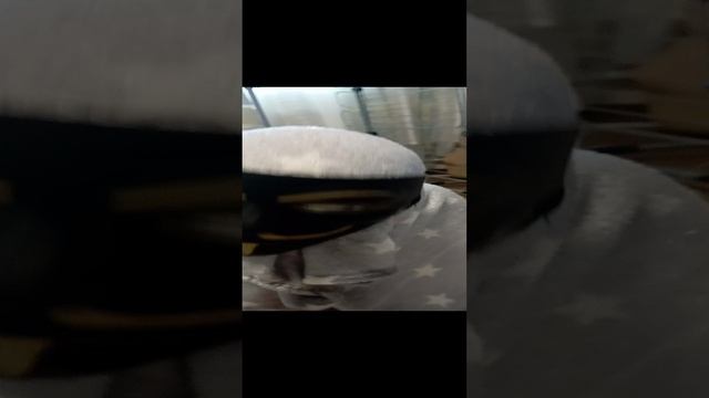 звёзданимус чоооо