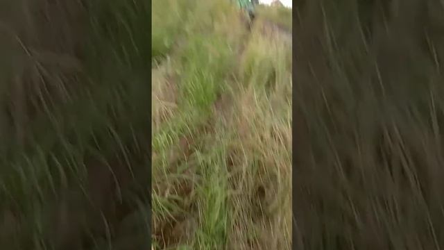 мдааааа #эндуро #питбайк #топ