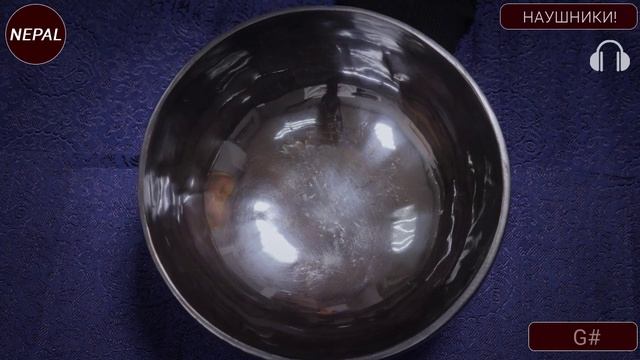 G# 212 19.5