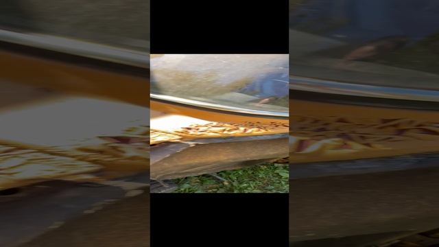 Реакция смывки старой краске на примере проекта РыжийАП