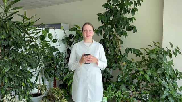Как нужно питаться, чтобы не болел живот