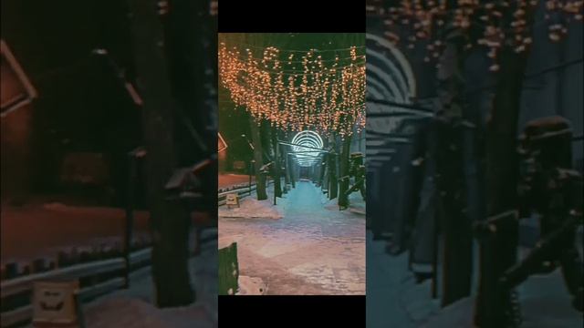 1000063251.mp4