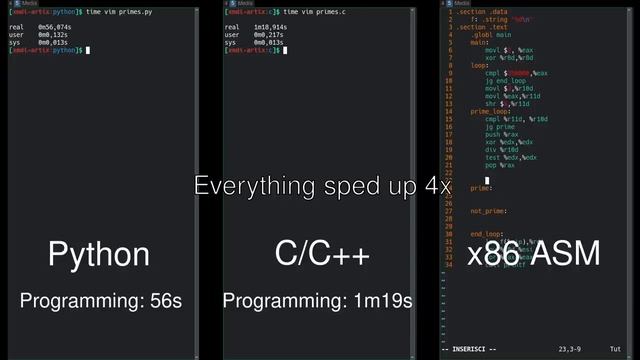 Python vs C_C vs Assembly side-by-side comparison