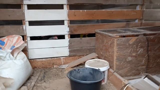 Сегодня дождь мешает работать