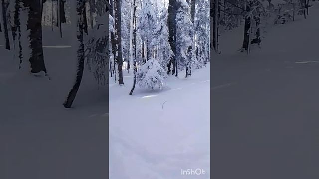Республика Адыгея Лагонаки