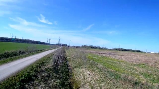 злые ветки- режут крылья