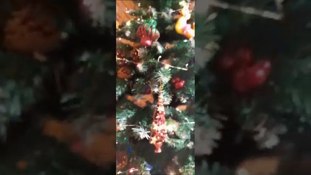 1000230796.mp4