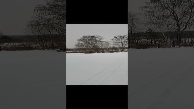 VID_20241221_144832.mp4
