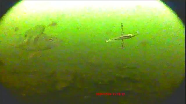 Зимняя рыбалка с подводной камерой