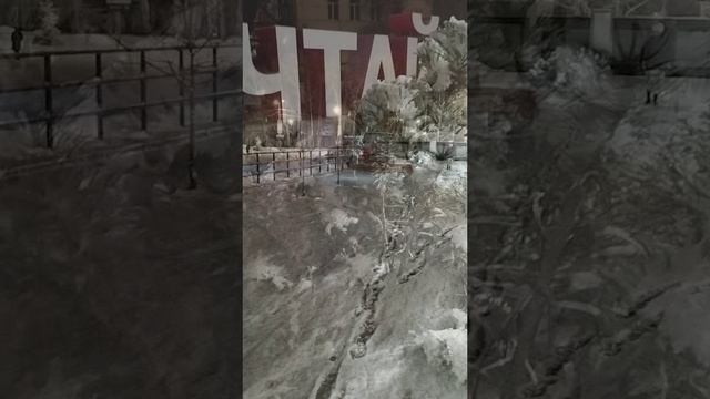 Мечтай!