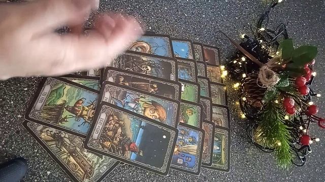 VID_20241224_140644.mp4