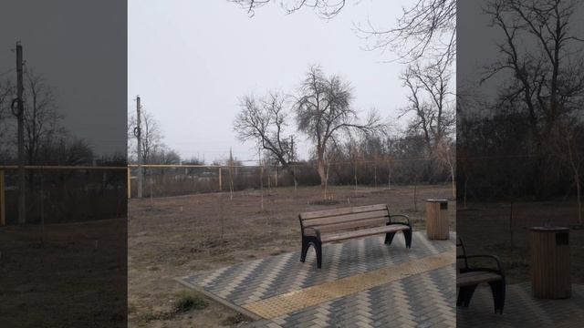 в парке