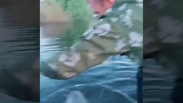 1000026338.mp4