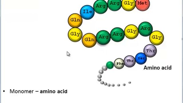 Molecules of Life