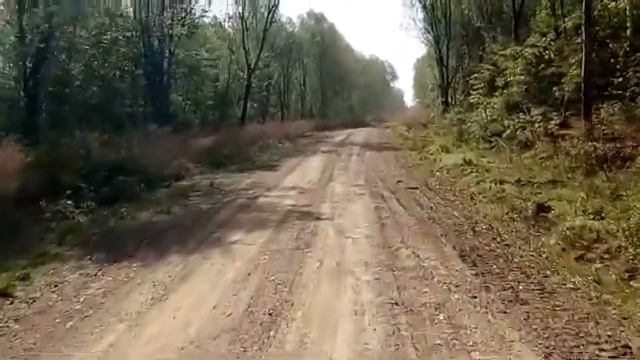 Макс Вертиго Дорога вне карты