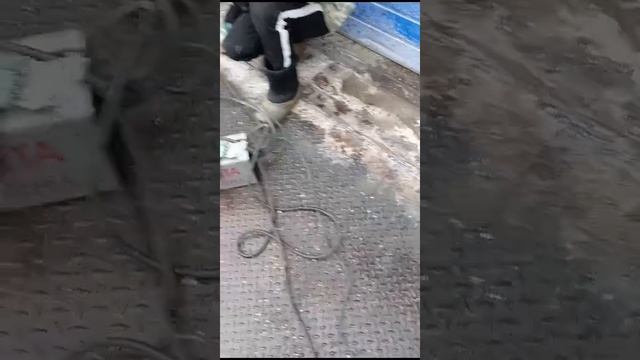 VID-20241224-WA0000.mp4