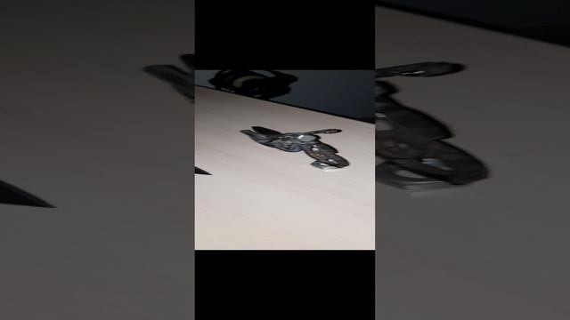 1000100420.mp4