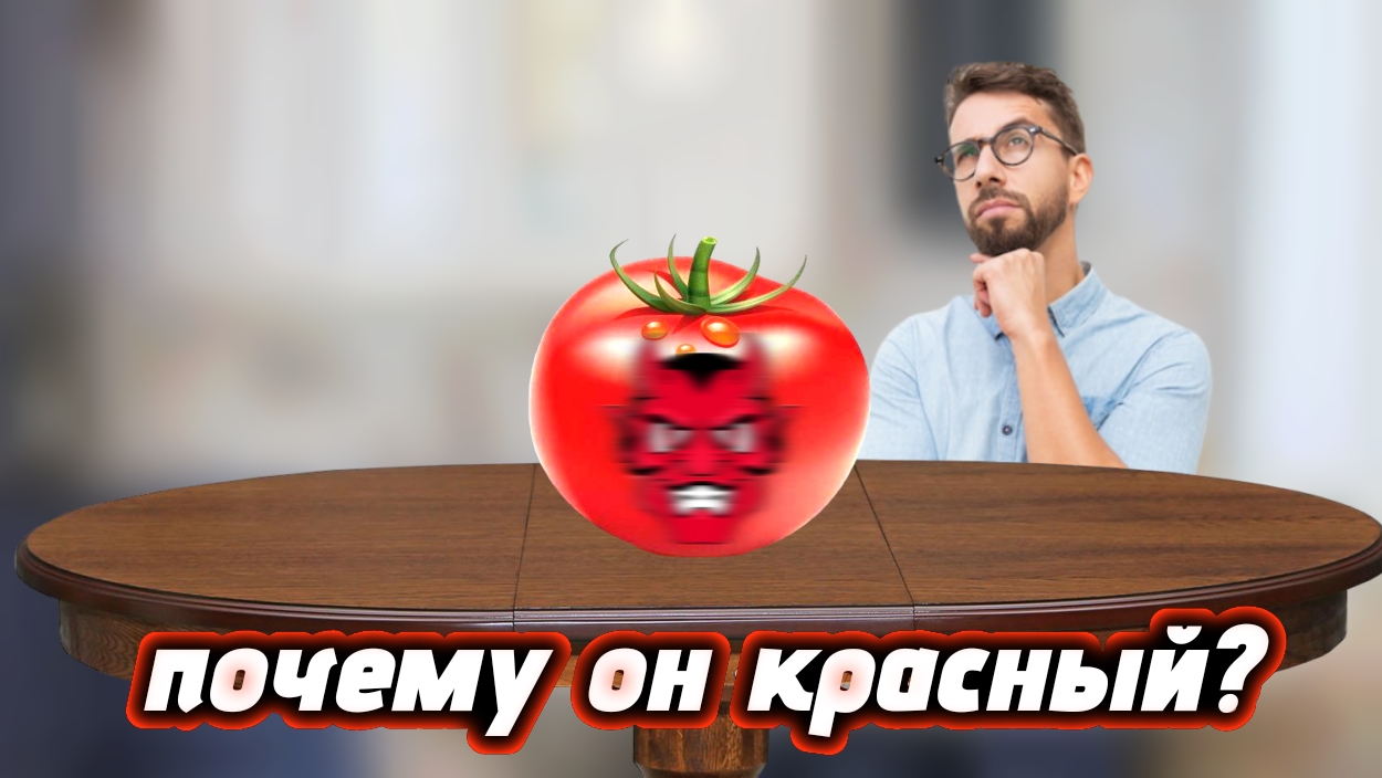 ПОЧЕМУ ПОМИДОР КРАСНЫЙ?