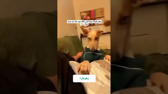1000002026.mp4