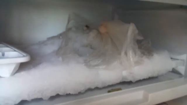 Что в холодильнике у сыроедки?