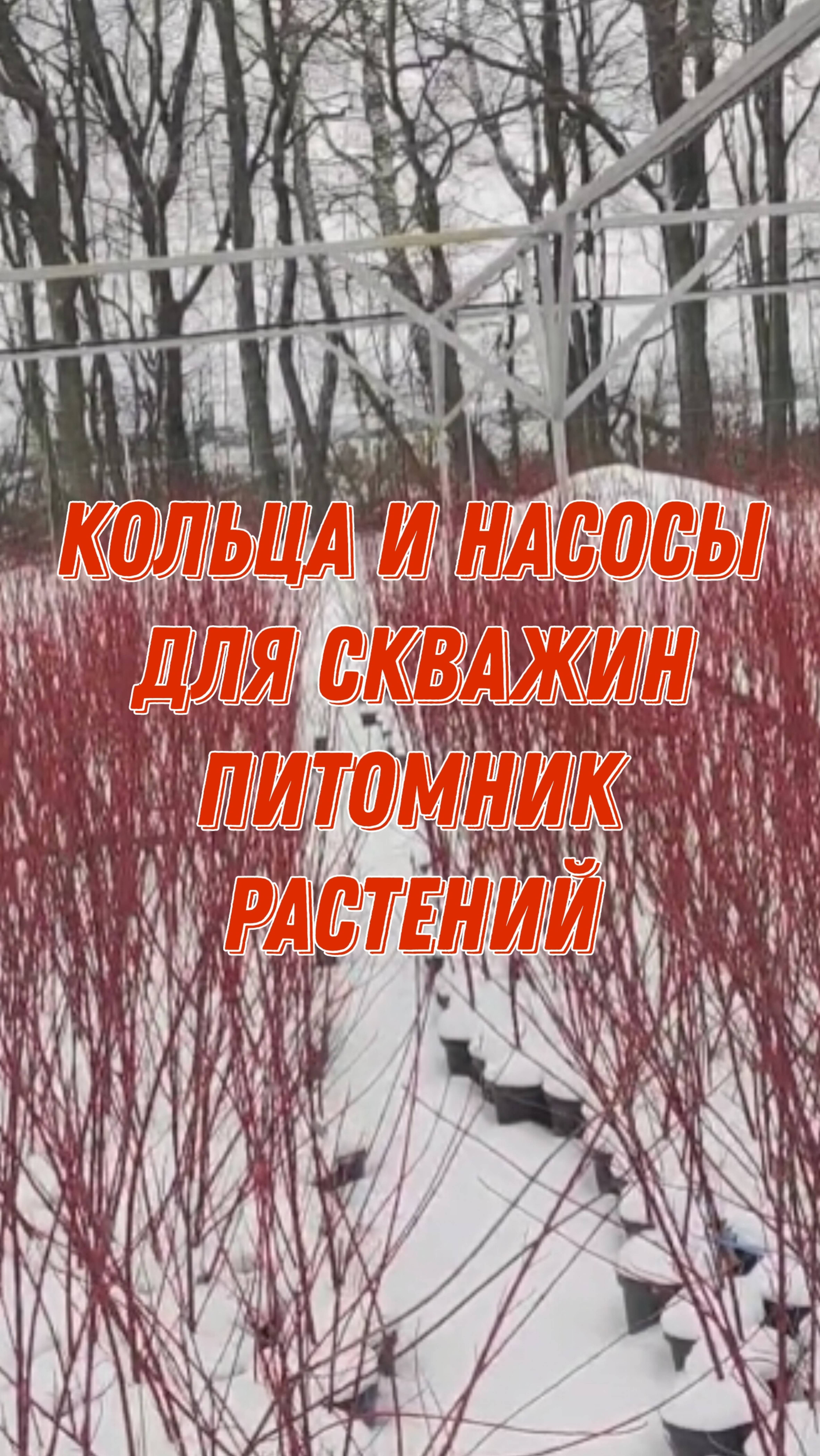 Говорим о кольцах и насосах для скважин. Питомник растений с нуля...