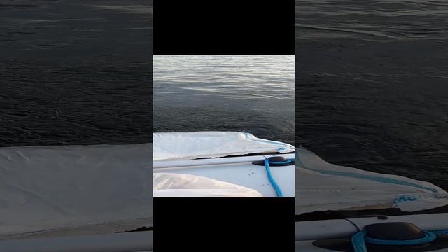 1000027499.mp4