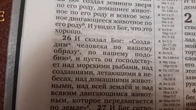 © В Библии нет человека? Только мужчина и женщина? Проверяем!