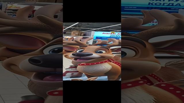 1000034538.mp4