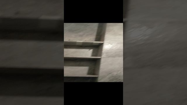 1000062216.mp4