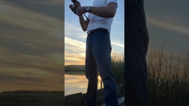Ловля окуня