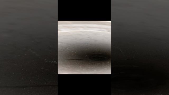 1000013952.mp4