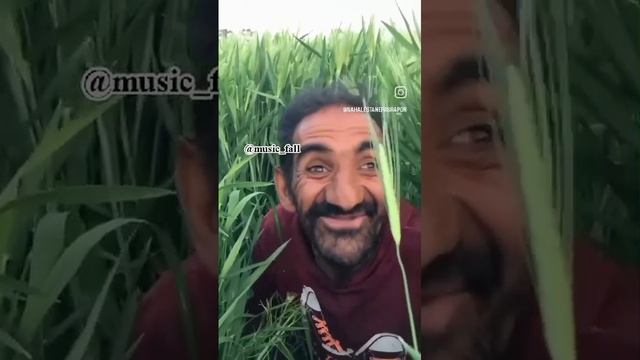 натарс