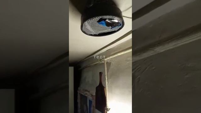 тест вытяжки