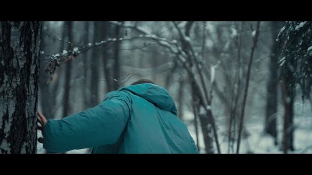 DJ DimixeR - Снегом Стать (жин-жин)