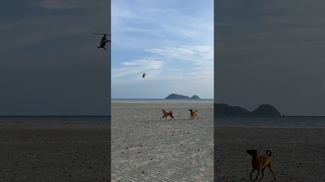 7 августа 2023 г.