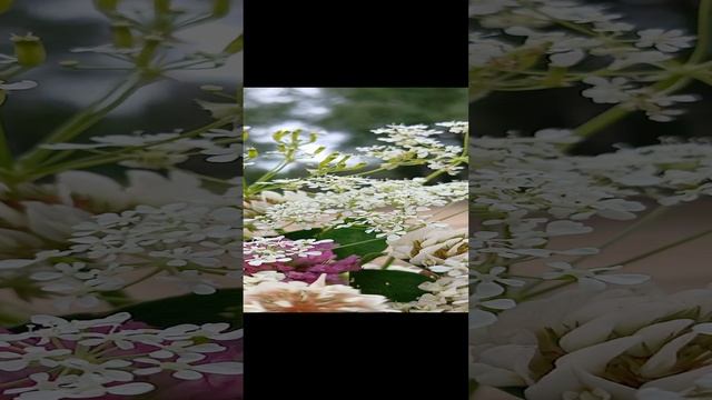 вдохновение
