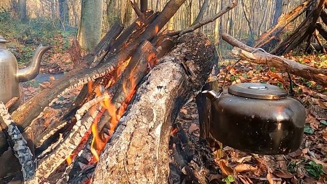 БУШКРАФТ ЛАГЕРЬ НА 2 ДНЯ: СТРОИТЕЛЬСТВО Укрытия ИСПОЛЬЗУЕТ ТОЛЬКО РУЧНОЙ ИНСТРУМЕНТ