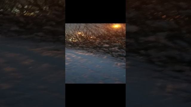 Прогулка в 5 часов вечера 24 декабря video_20241223_170501