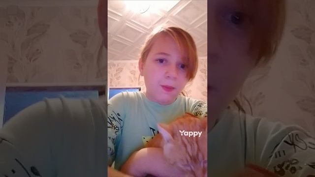 yappy_download_de1c7d528723471da58ec55f5ed55dda.mp4