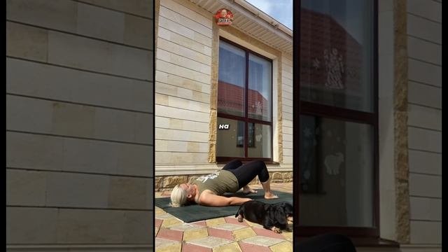 Тренировка дома на 7 минут. Минус 200 калорий