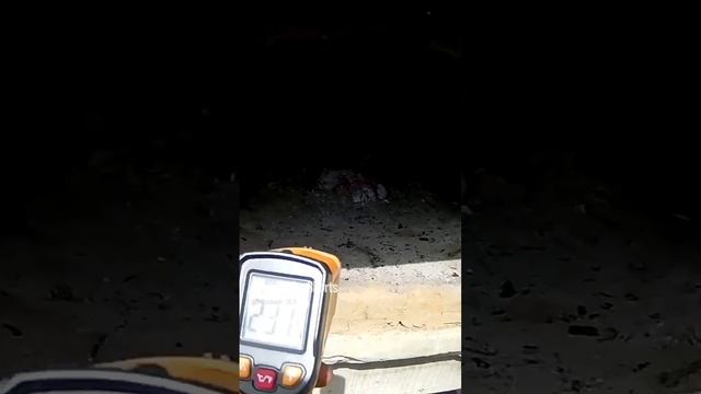 Запекаю карпа в уличной печи