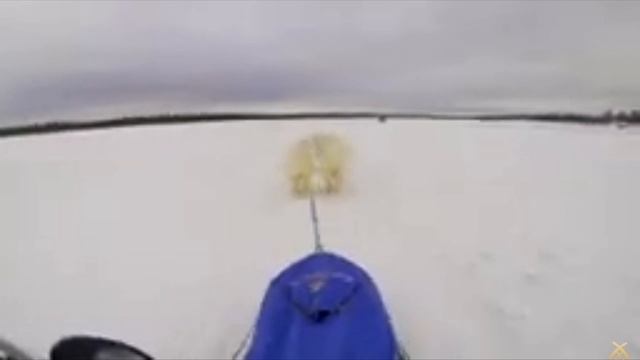 SVID_20241215_140515_1.mp4