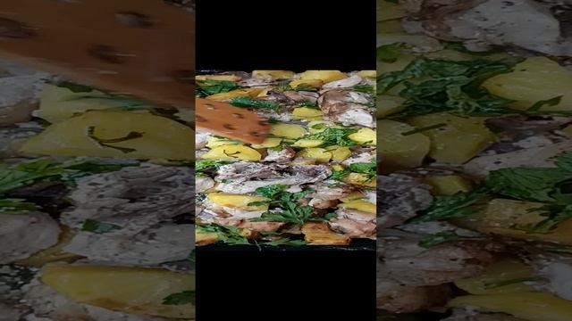 1000068520.mp4