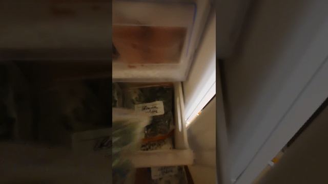 Наши запасы🤫. 3 часть